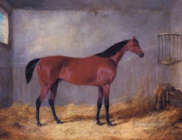 El duque de Graftons Bolívar en un caballo estable John Frederick Herring Jr. Pinturas al óleo
